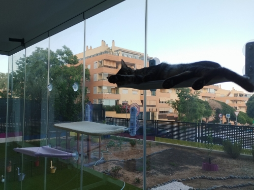 Cordless Foldable Cat Window Hammock photo review