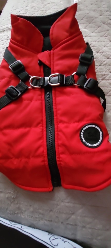 Waterproof Dog Harness photo review