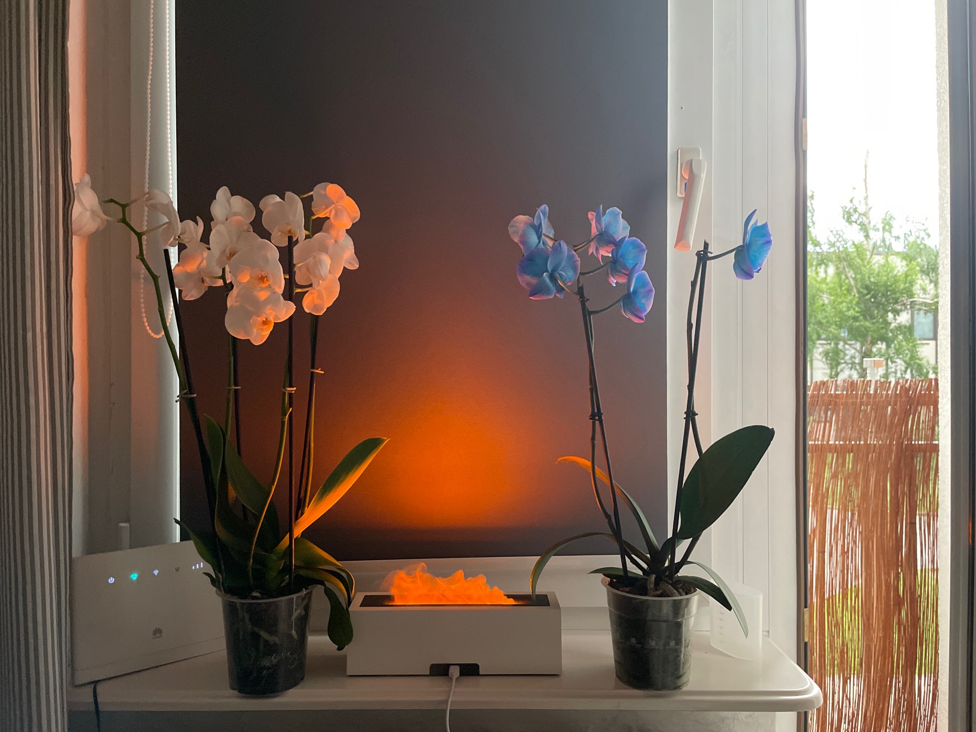 Kinscoter Aroma Diffuser Air Humidifier photo review